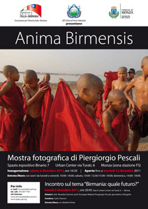 anima-birmensis-volantino