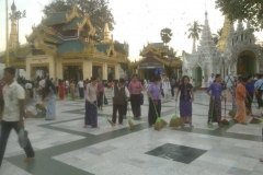 162217467-00fa72ae-6ce6-4cc7-90c4-457dbc17a0c7